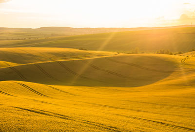 Scenic view of agricultural landscape against sky