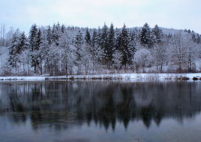 Scenic view of lake against sky during winter