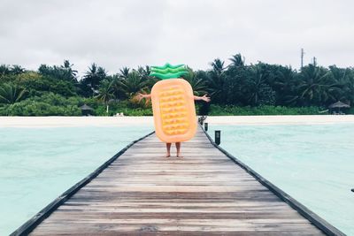 Person wearing pineapple costume while standing on pier over sea at beach
