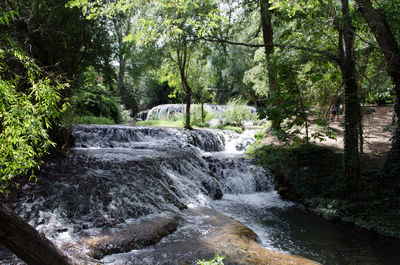 Scenic view of waterfall in forest