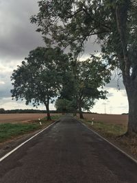 Road amidst trees against sky