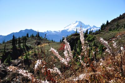 Panoramic shot of snowcapped mountains against sky