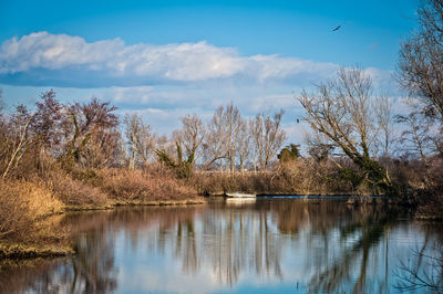 Bare trees by lake against sky