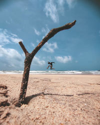 People on beach against sky