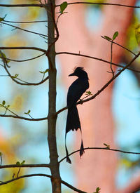 Bird perching on branch