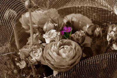 Close-up of flowers in basket