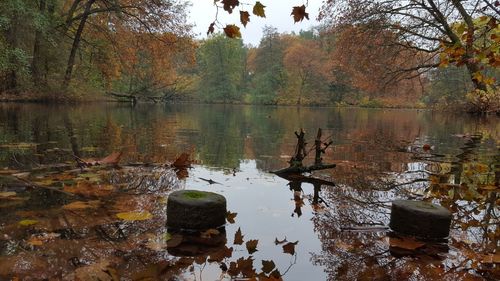 Scenic view of lake during autumn