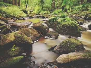 River flowing through rocks in forest