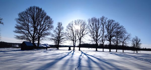 Bare trees on snow covered field against sky