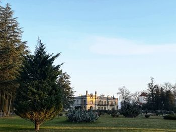 Trees and plants in park against sky