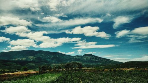 Scenic view of landscape against sky