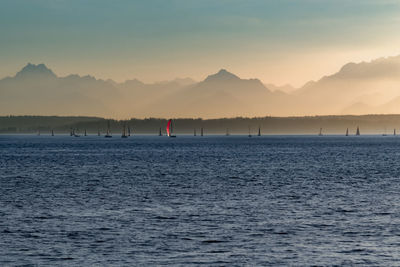 Sailboats on elliott bay by olympic mountains against sky