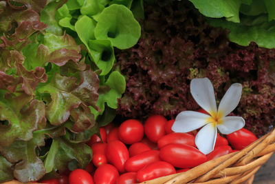 Close-up of vegetables in basket