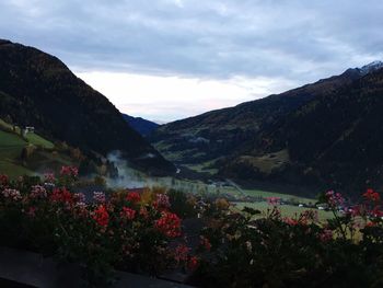 Flowering plants growing on field by mountains against cloudy sky