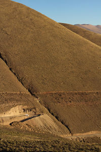 Scenic view of landscape against clear sky