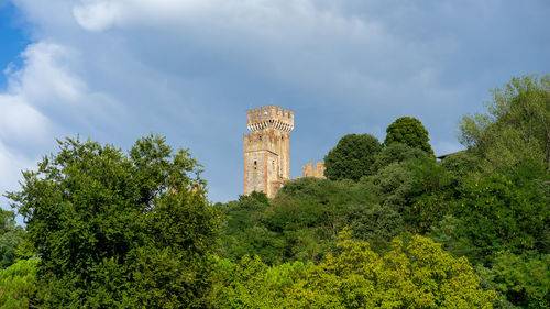 Low angle view of trees and plants against sky