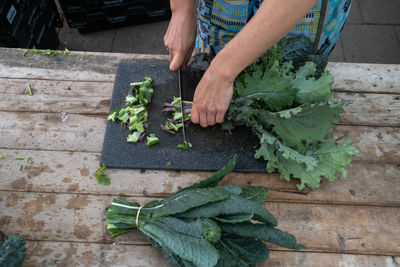 Midsection of man gardening