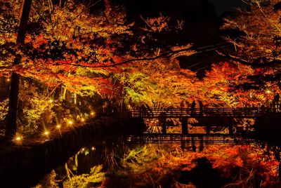 View of illuminated bridge at night