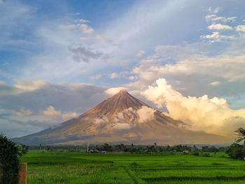 Scenic view of agricultural field against sky