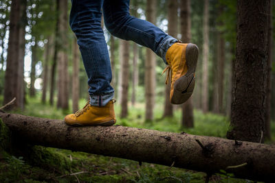 Low section of person on tree trunk in forest