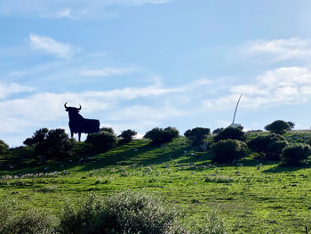 View of horse on field against sky