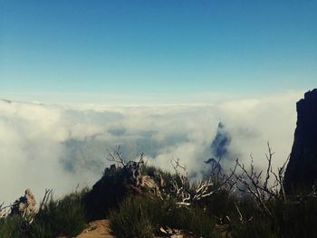 Scenic view of landscape against cloudy sky