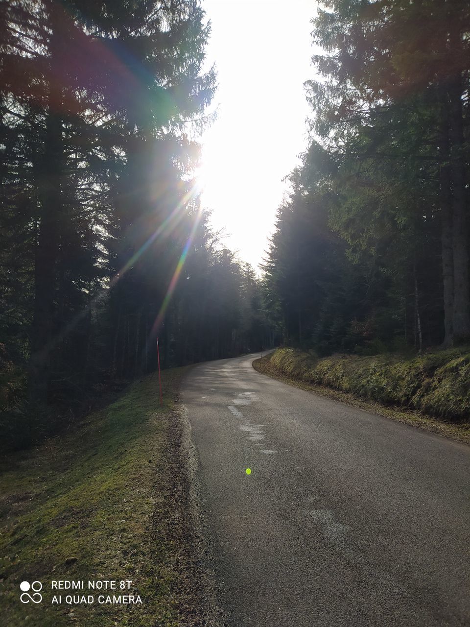 ROAD AMIDST TREES AGAINST SKY