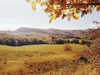 Scenic view of landscape against sky during autumn