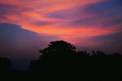 Silhouette of trees at sunset