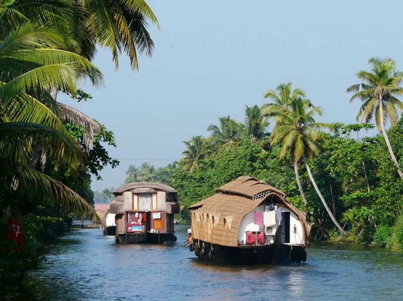 water, tree, nautical vessel, waterfront, clear sky, transportation, palm tree, boat, mode of transport, building exterior, built structure, architecture, moored, sea, house, nature, copy space, day, incidental people, tranquility