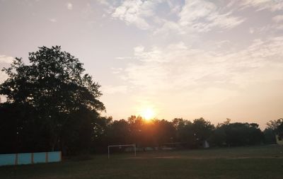 Trees on field against sky during sunset