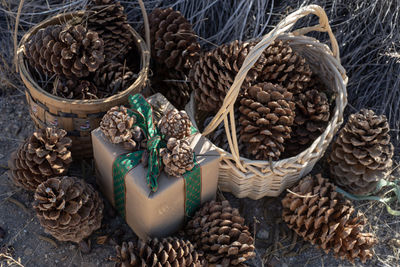 High angle view of pine cone in basket