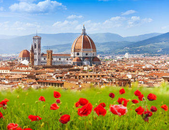 High angle view of flowering plants by buildings in city against sky