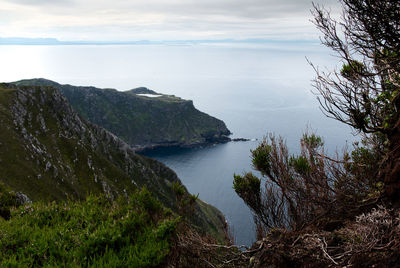 High angle view of sea and trees against sky