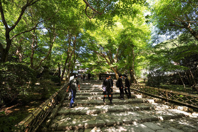 People walking on footpath in forest