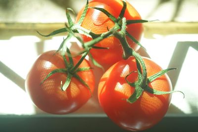 Close-up of tomatoes