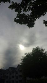 Low angle view of trees against cloudy sky