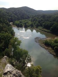 Scenic view of lake in forest