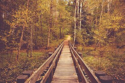 Railroad tracks amidst trees in forest during autumn