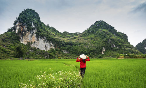 Rear view of man standing on field against sky