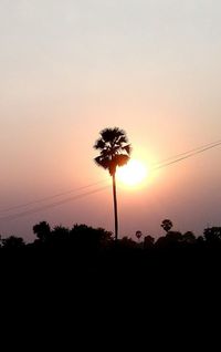 Silhouette trees against sky during sunset