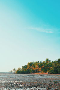 Scenic view of sea against clear blue sky