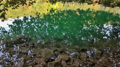 View of stones in water