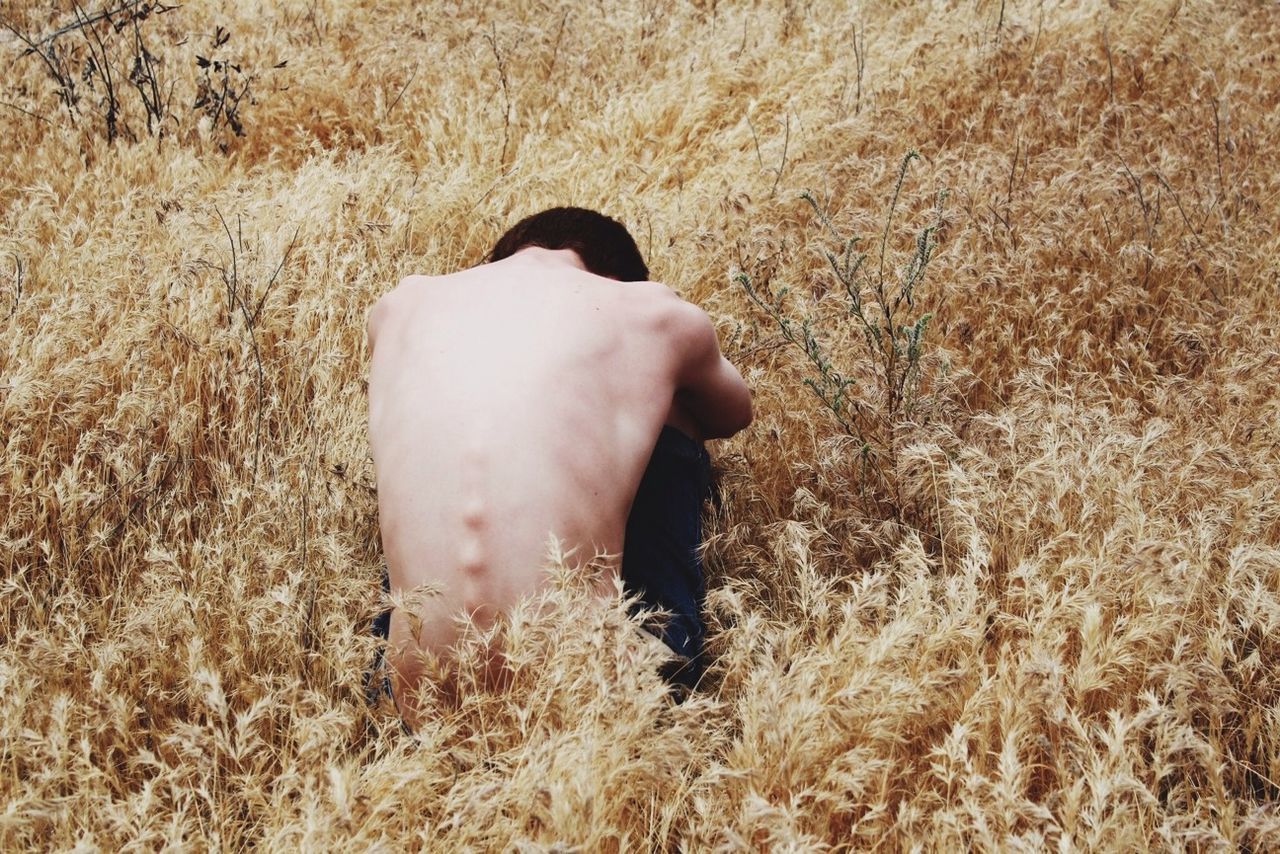 field, lifestyles, close-up, part of, dry, day, grass, leisure activity, person, sunlight, nature, outdoors, plant, unrecognizable person, growth, focus on foreground