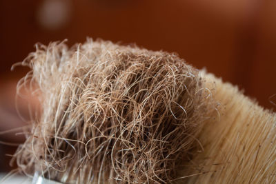 Close-up of dirty brush