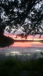 Reflection of trees in lake