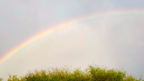 Scenic view of rainbow against sky