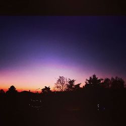 Silhouette of trees at sunset