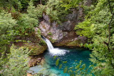 Stream flowing through rocks in forest