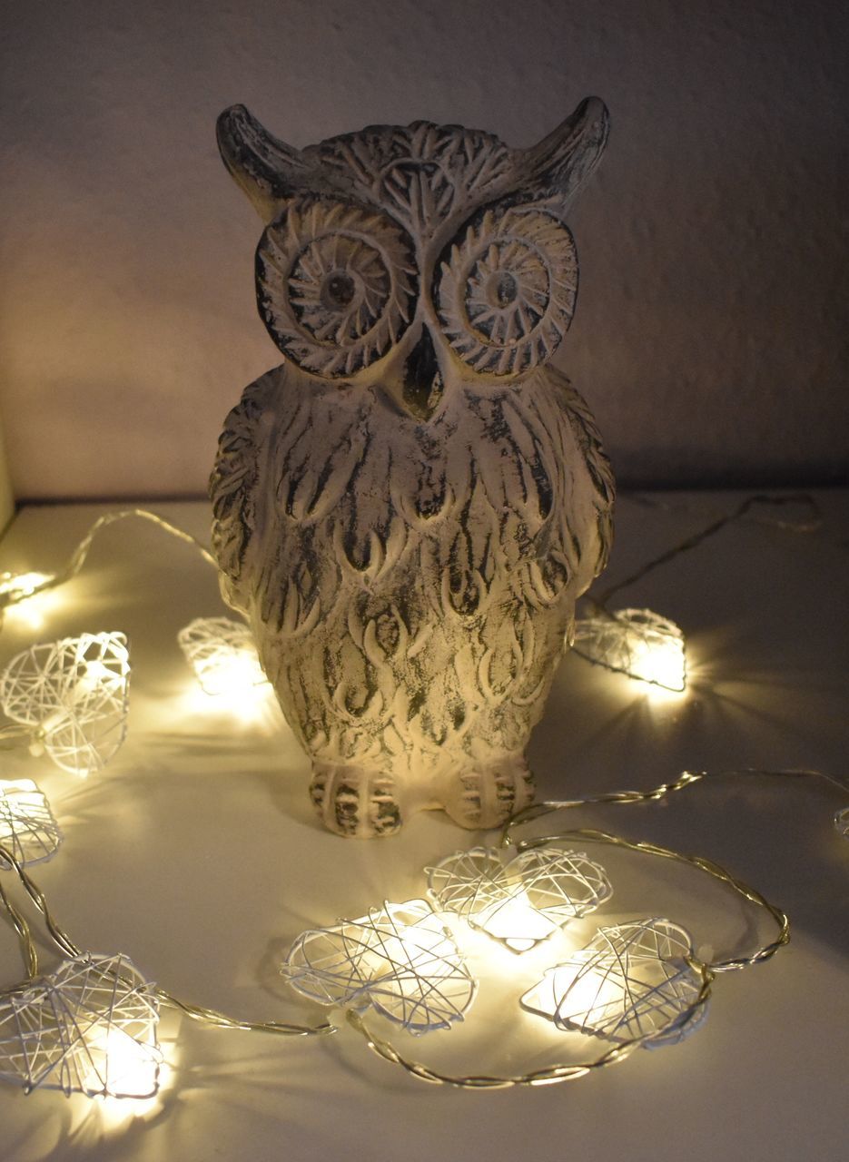 CLOSE-UP OF ILLUMINATED LIGHTING EQUIPMENT ON TABLE